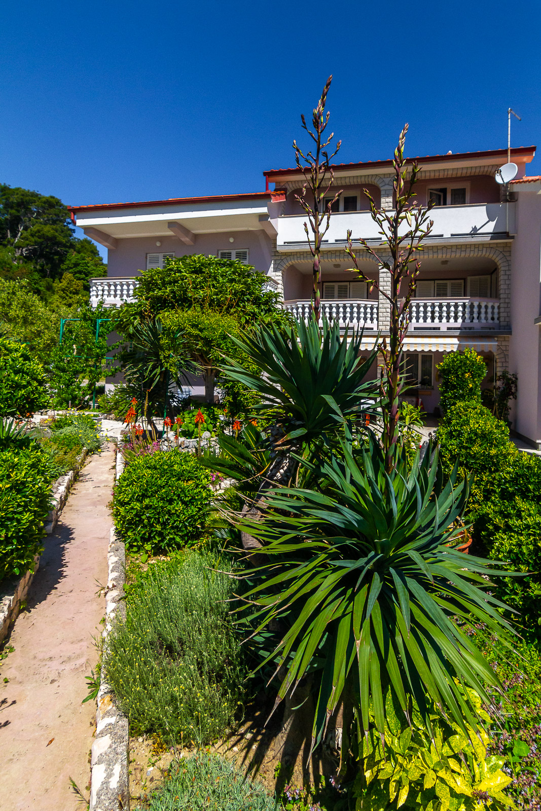 Lavender Mare Accommodation